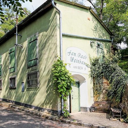 Ferienwohnung Weinhof Gregor Raab Unterretzbach Exterior foto